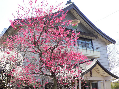 深志神社 梅風閣